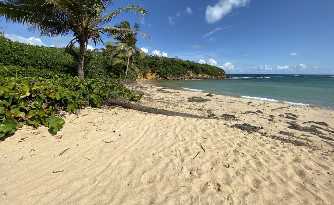 Playa De Los Tocones'in fotoğrafı parlak kum yüzey ile