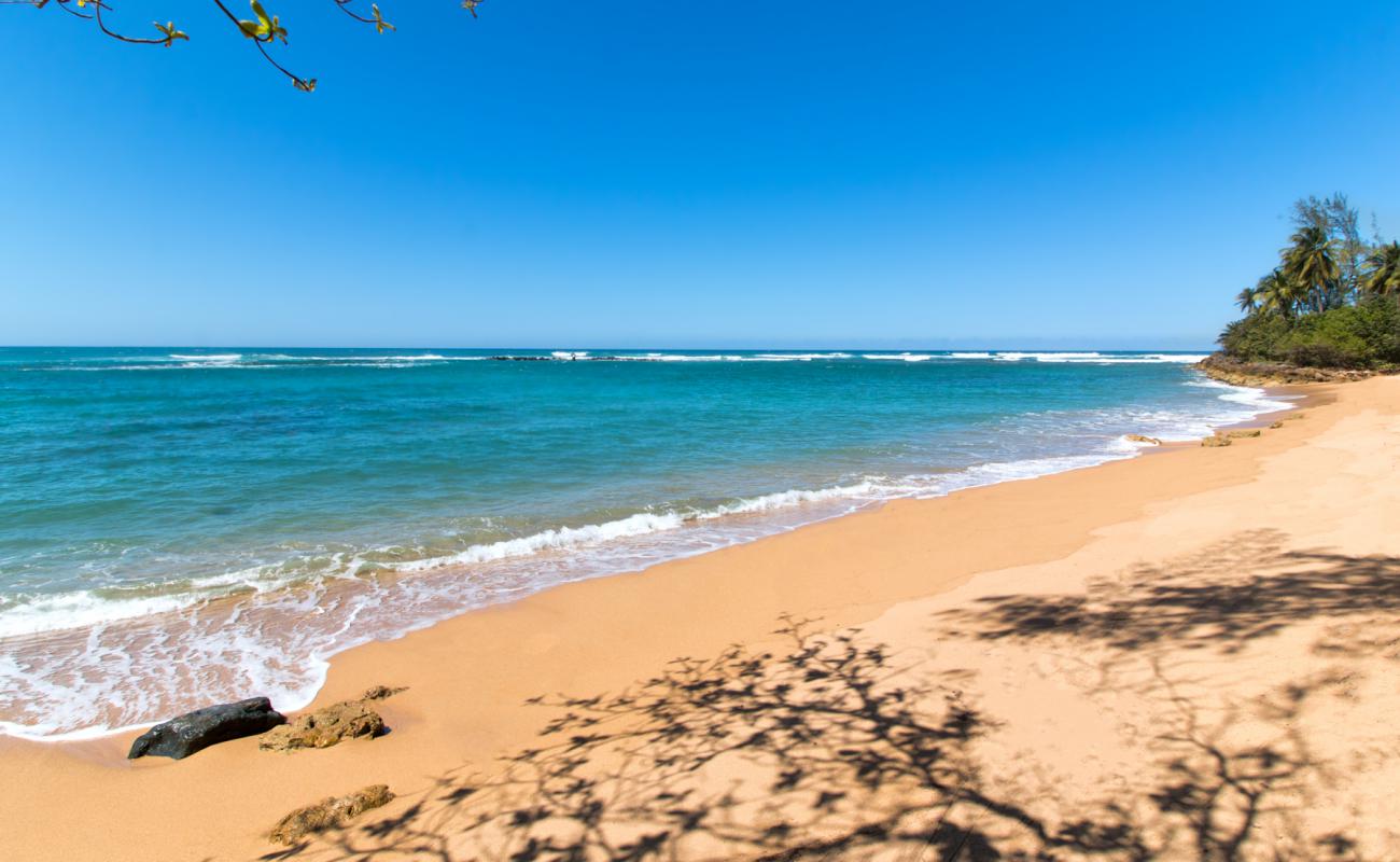 Brenas beach'in fotoğrafı açık bej kum yüzey ile