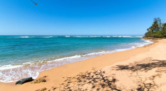 Brenas beach