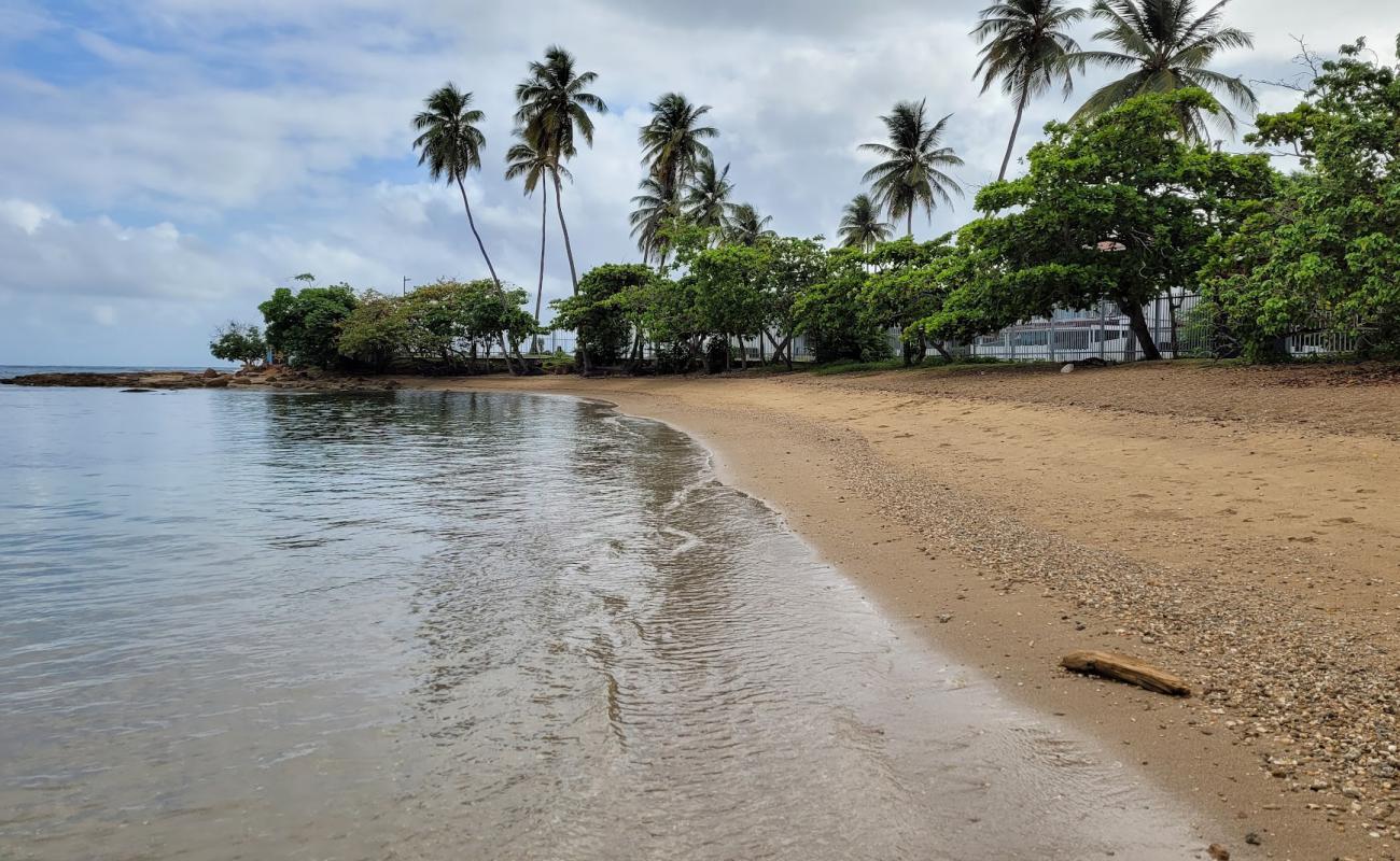Playa Dorado del Mar'in fotoğrafı açık bej kum yüzey ile