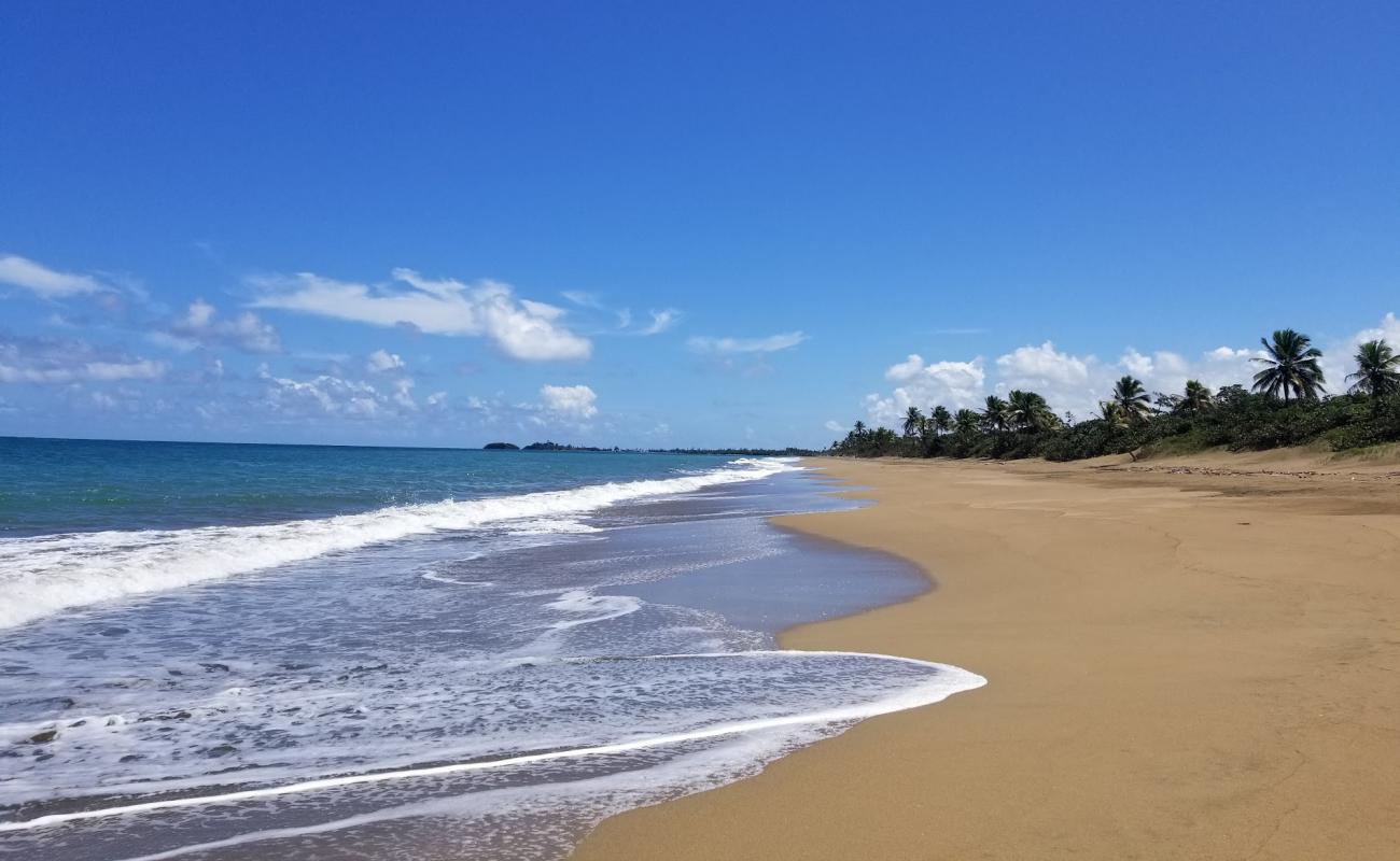 El Unico beach'in fotoğrafı açık bej kum yüzey ile