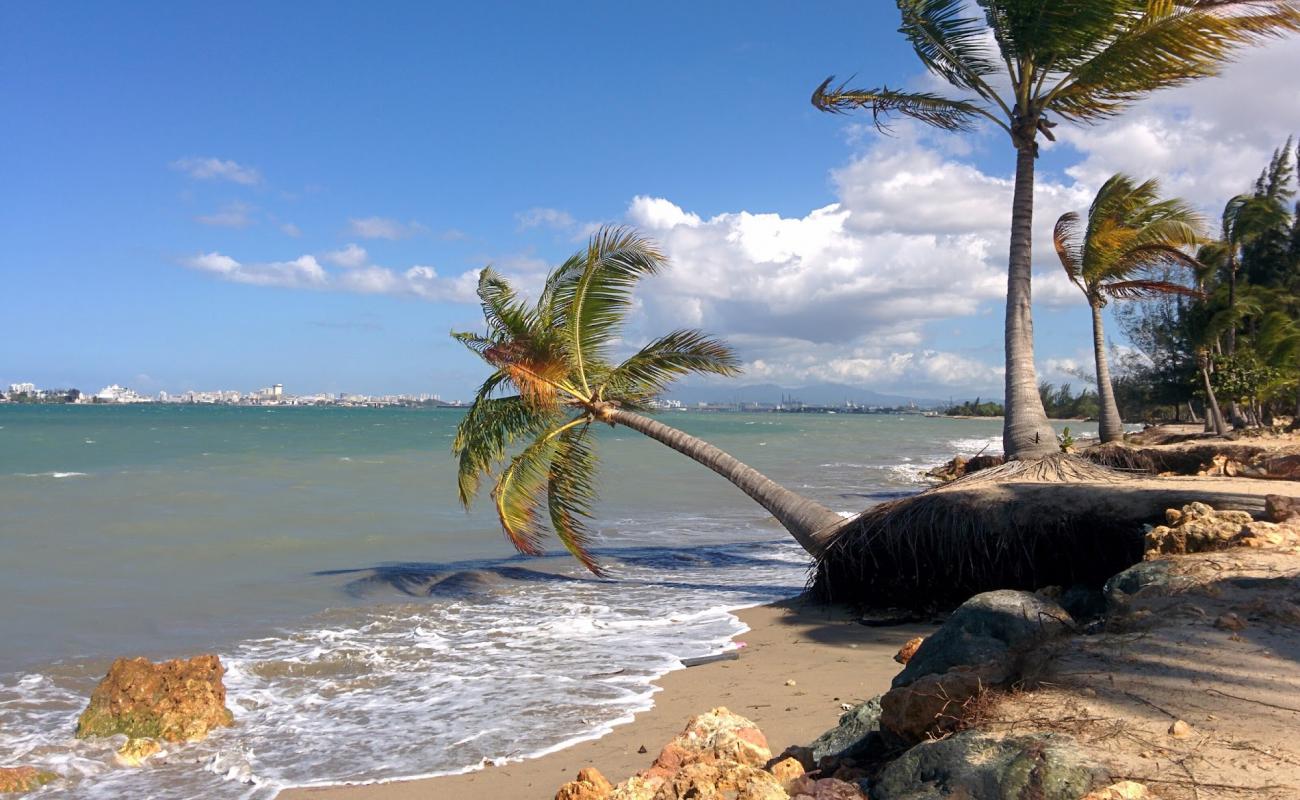 Esperanza beach'in fotoğrafı açık bej kum yüzey ile