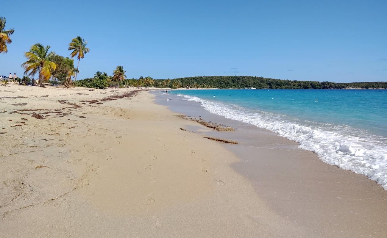 Playa Sun Bay'in fotoğrafı açık bej kum yüzey ile