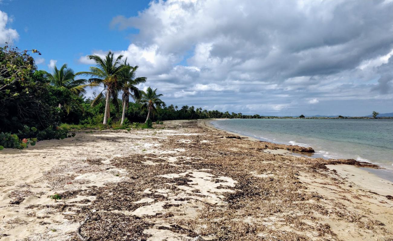 Playa Blaydin II'in fotoğrafı parlak kum yüzey ile