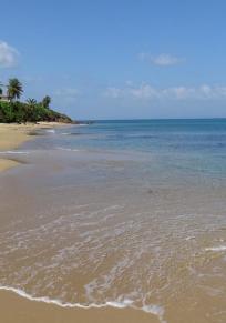 Vieques Adası