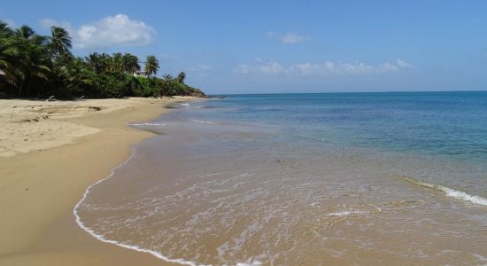 Sea Glass beach II