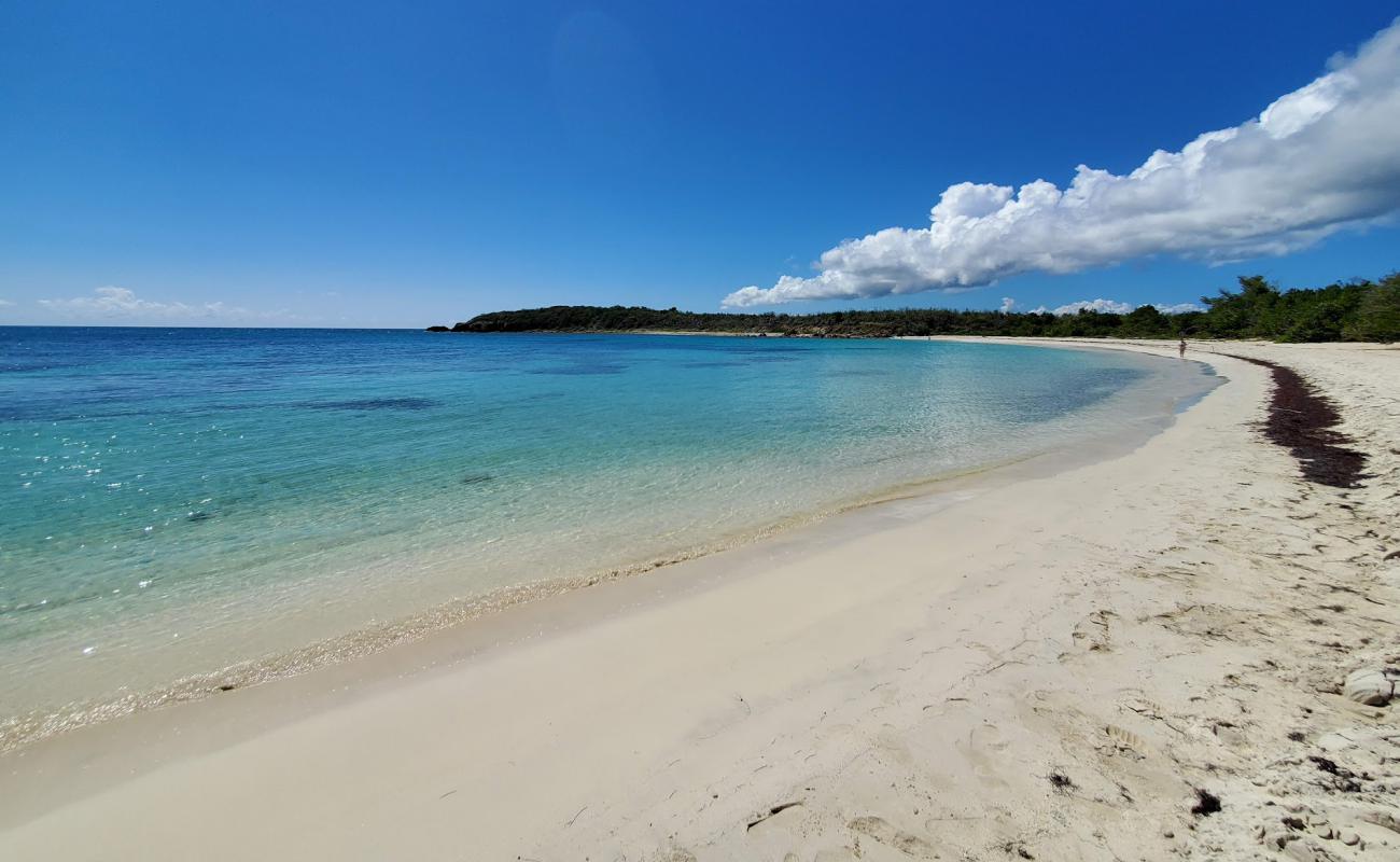 Secret beach'in fotoğrafı beyaz kum yüzey ile
