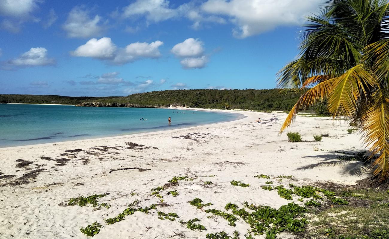Caracas beach'in fotoğrafı beyaz kum yüzey ile