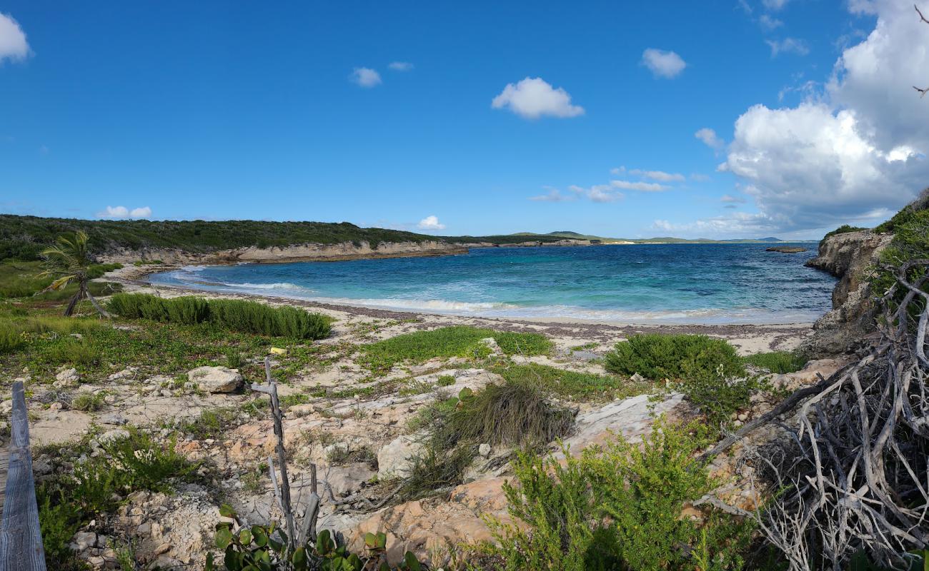 Puerto Ferros beach'in fotoğrafı taşlı kum yüzey ile