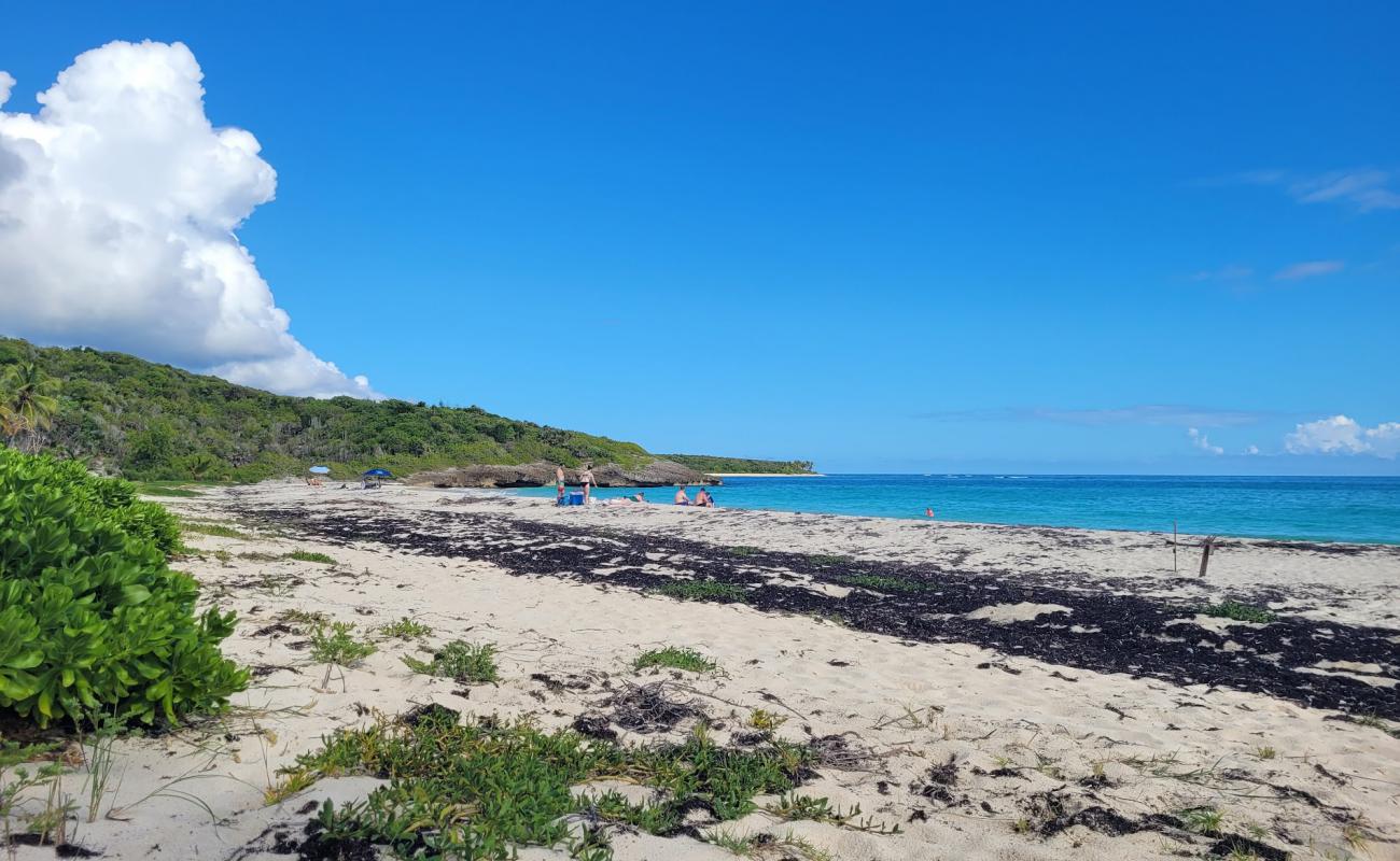 Playa Media Luna II'in fotoğrafı açık bej kum yüzey ile