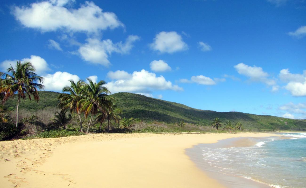 Playa Brava'in fotoğrafı parlak kum yüzey ile