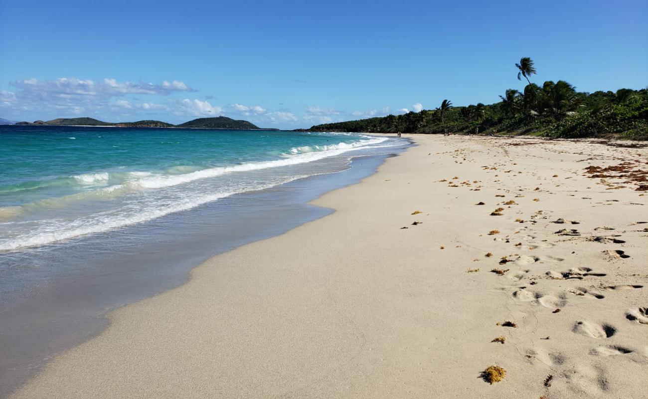 Zoni beach'in fotoğrafı parlak kum yüzey ile