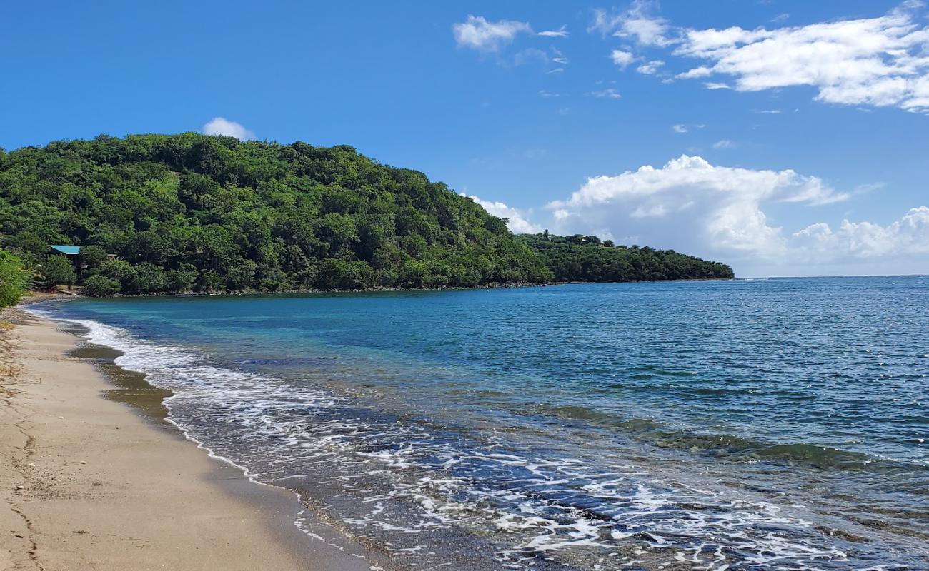 Playa Mosquito'in fotoğrafı parlak kum ve kayalar yüzey ile