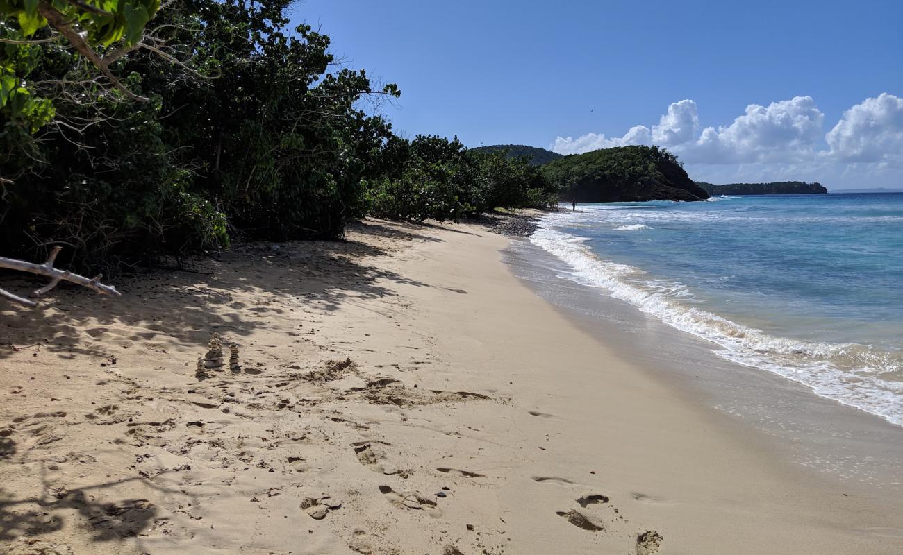 Playa Carlos Rosario'in fotoğrafı parlak kum yüzey ile