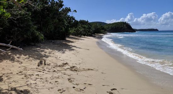 Playa Carlos Rosario