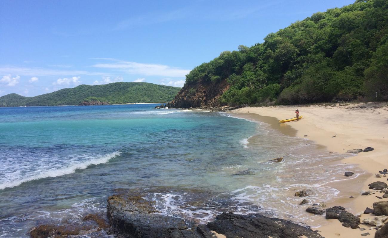 Luis Pena beach'in fotoğrafı parlak ince kum yüzey ile