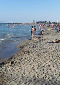 Neptun