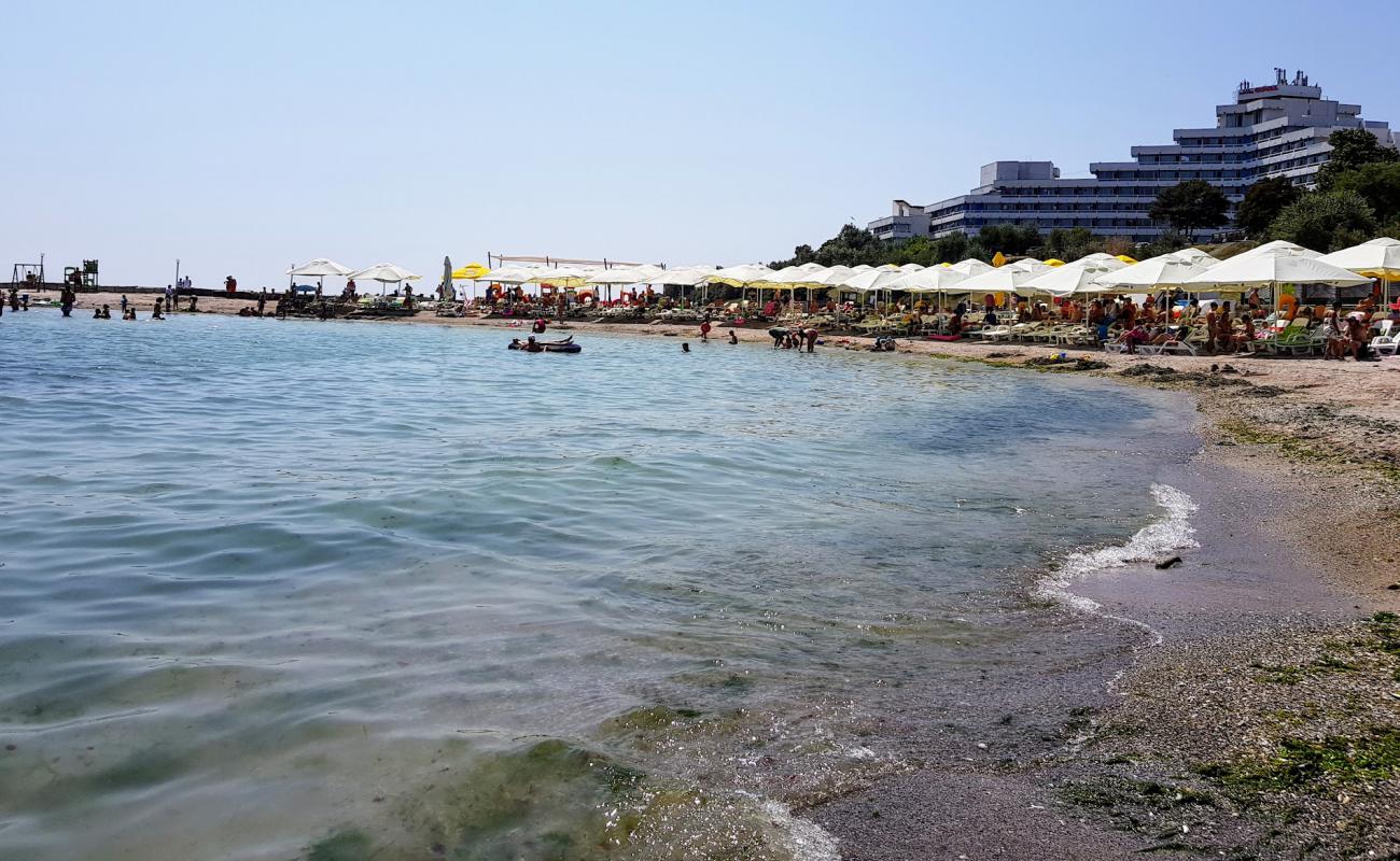 Plyazh Sopiiilor'in fotoğrafı açık bej kum yüzey ile