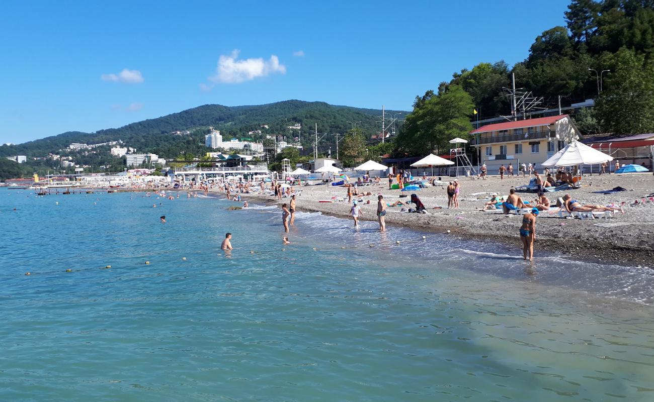 Hosta beach'in fotoğrafı gri çakıl taşı yüzey ile