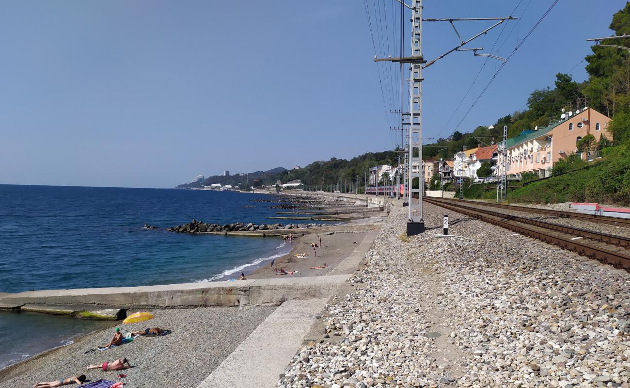 Hosta beach II'in fotoğrafı gri çakıl taşı yüzey ile