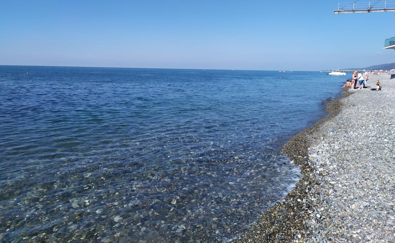 Dolphin beach'in fotoğrafı gri çakıl taşı yüzey ile