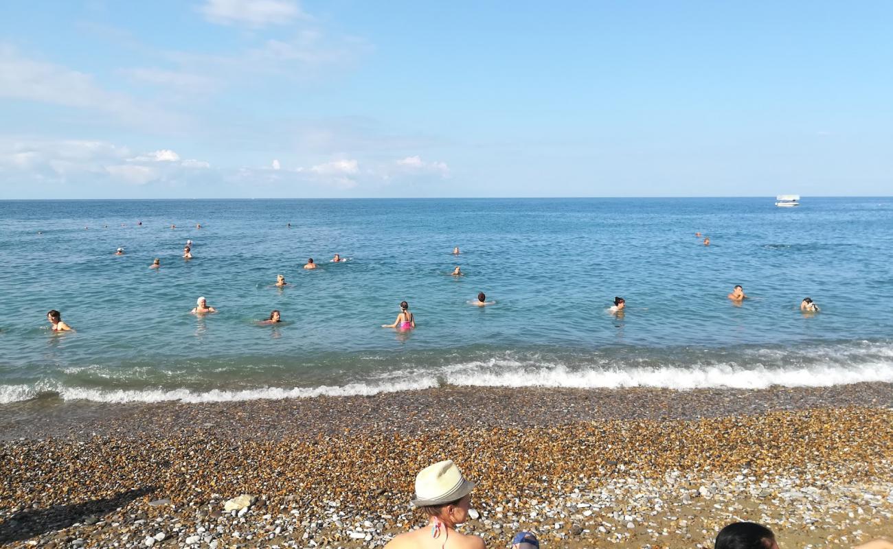 Flamingo beach'in fotoğrafı gri çakıl taşı yüzey ile