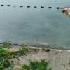 Zorka beach