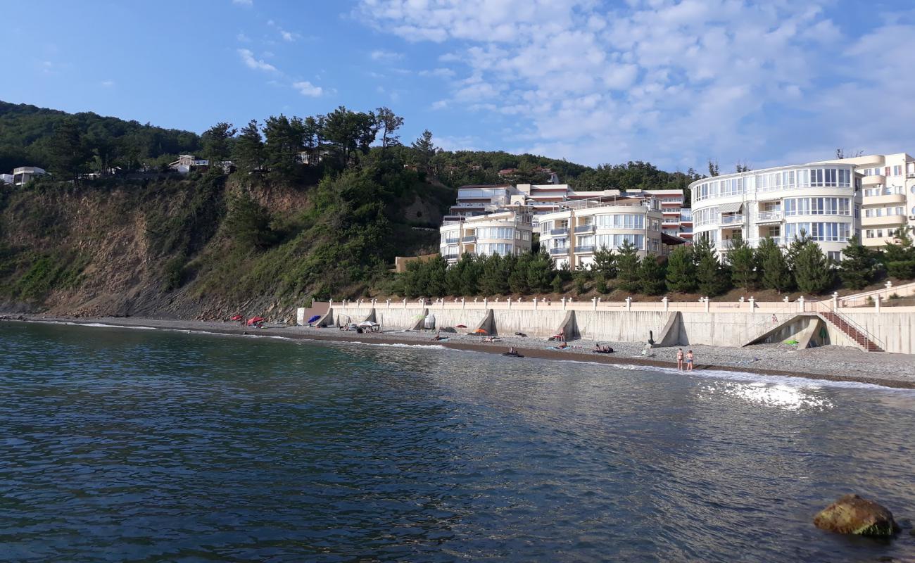 Pine Coast beach'in fotoğrafı gri çakıl taşı yüzey ile