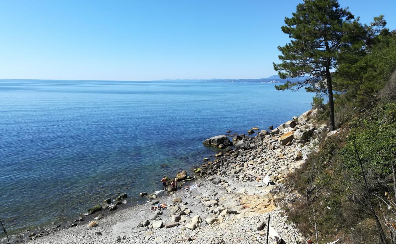 Agrias reserve beach'in fotoğrafı gri çakıl taşı yüzey ile