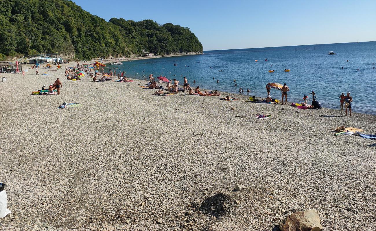 Primorskaya beach'in fotoğrafı gri çakıl taşı yüzey ile