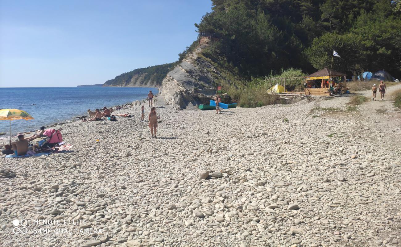 Nazarova dacha beach'in fotoğrafı hafif çakıl yüzey ile