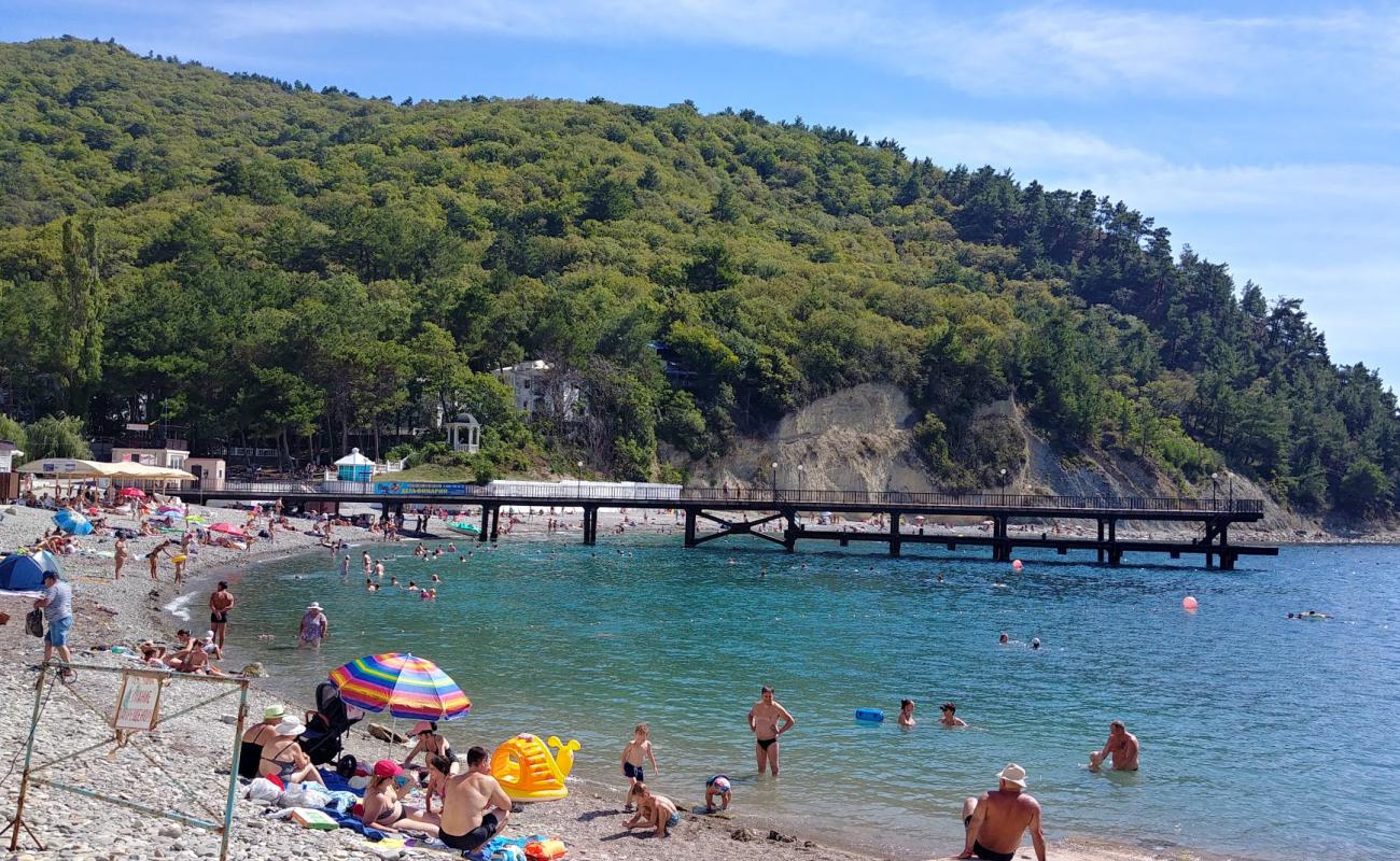 Dzhanhot beach'in fotoğrafı hafif çakıl yüzey ile