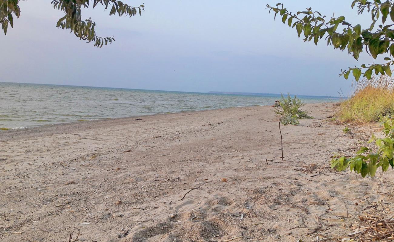 Kosa Dolgen'kaya'in fotoğrafı açık bej kum yüzey ile