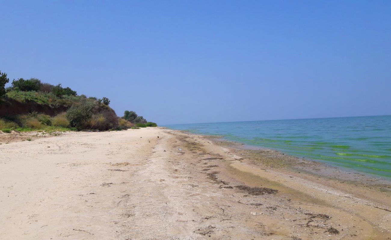 Plyazh Krugloye'in fotoğrafı açık bej kum yüzey ile