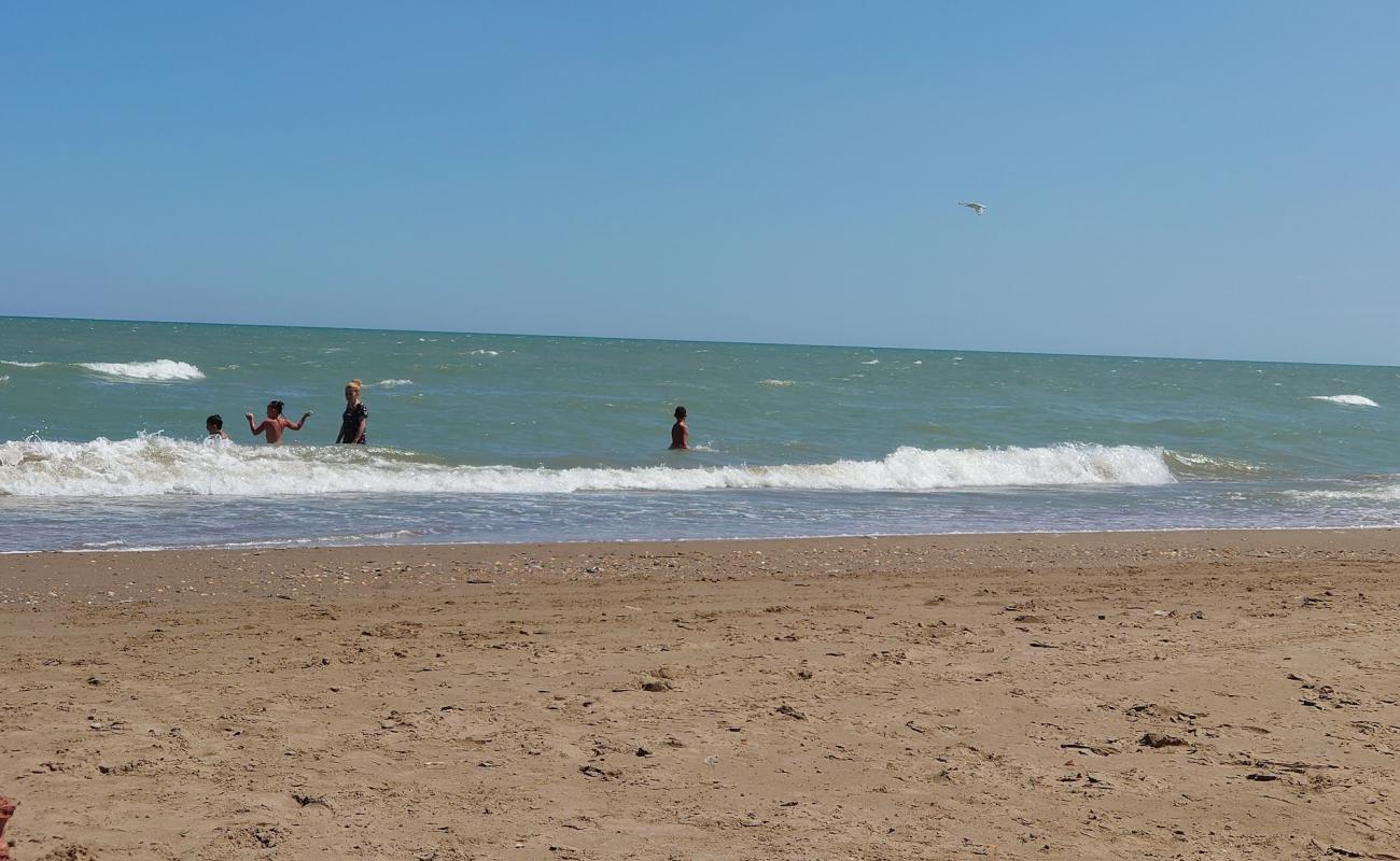 Kiparis Beach'in fotoğrafı parlak kum yüzey ile