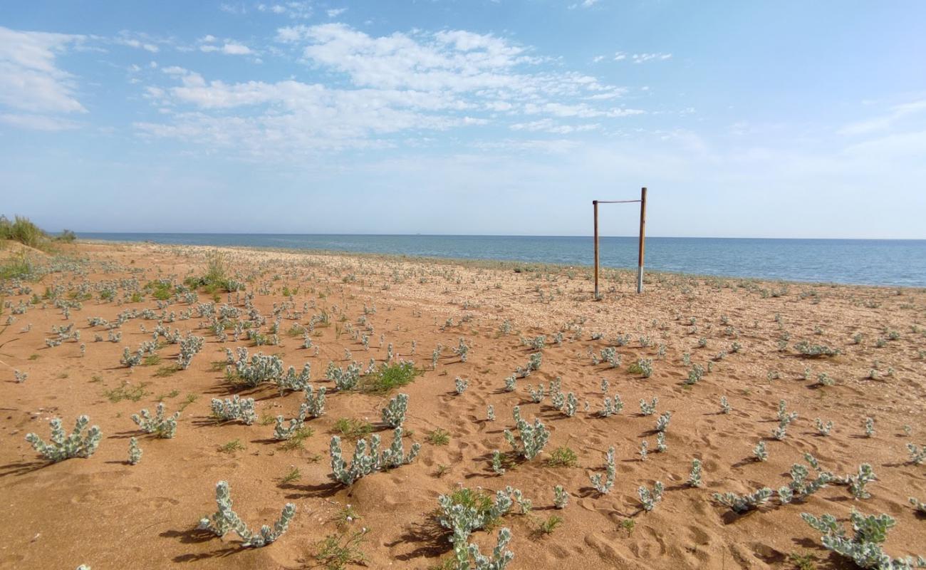 Svjazist Beach'in fotoğrafı küçük bej çakıl yüzey ile