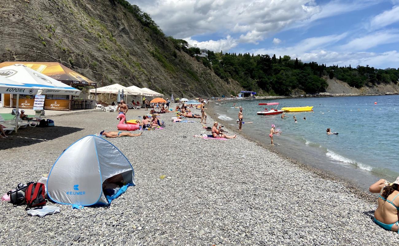 Alupka beach'in fotoğrafı gri çakıl taşı yüzey ile