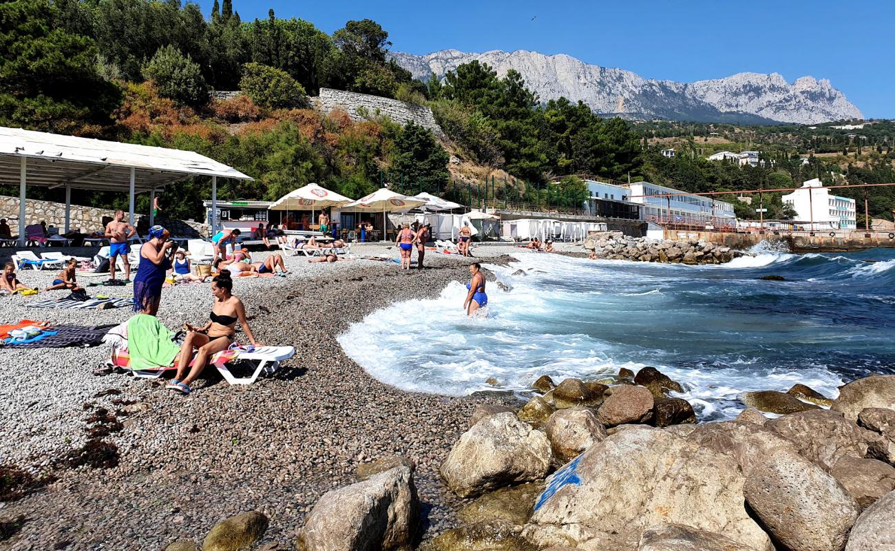 Naryshkinsky beach'in fotoğrafı gri çakıl taşı yüzey ile