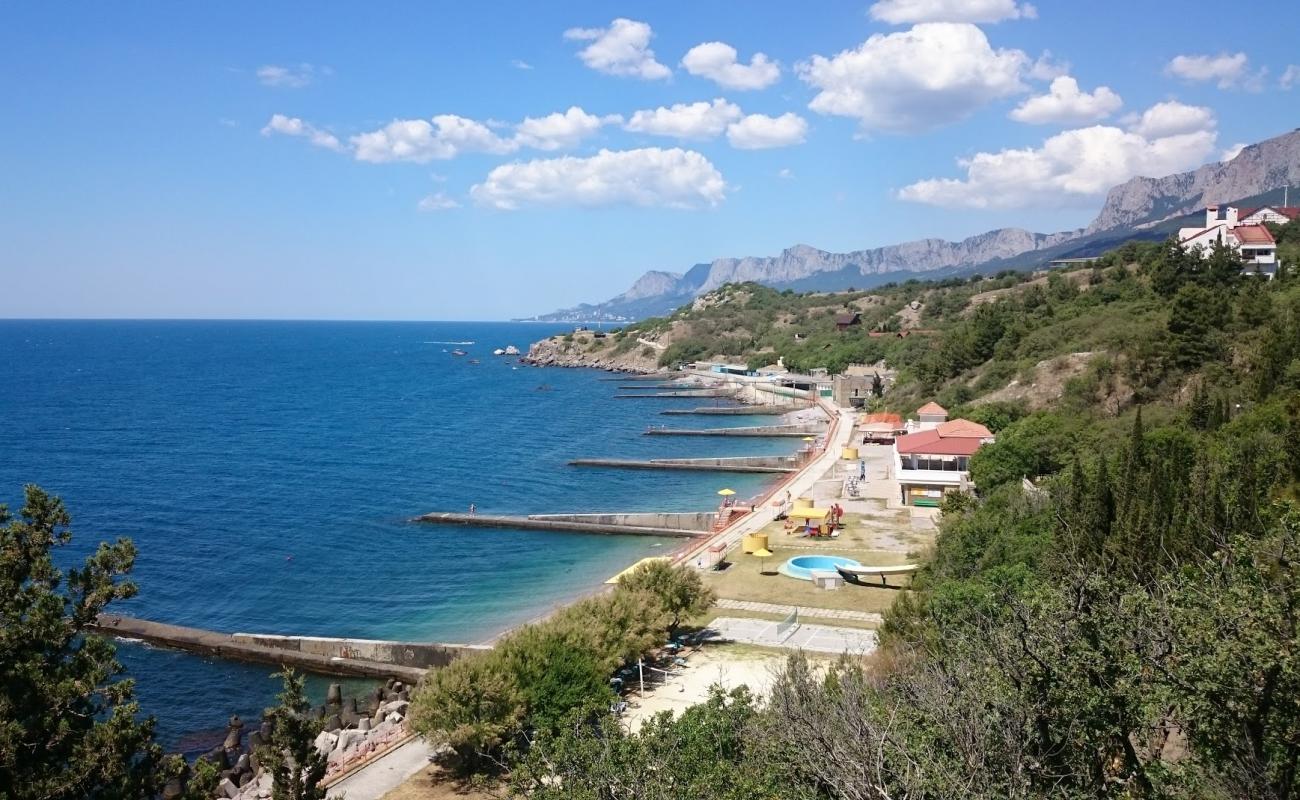 Ponizovka beach'in fotoğrafı gri çakıl taşı yüzey ile