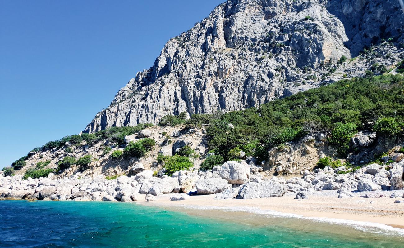 Lost World beach'in fotoğrafı gri ince çakıl taş yüzey ile