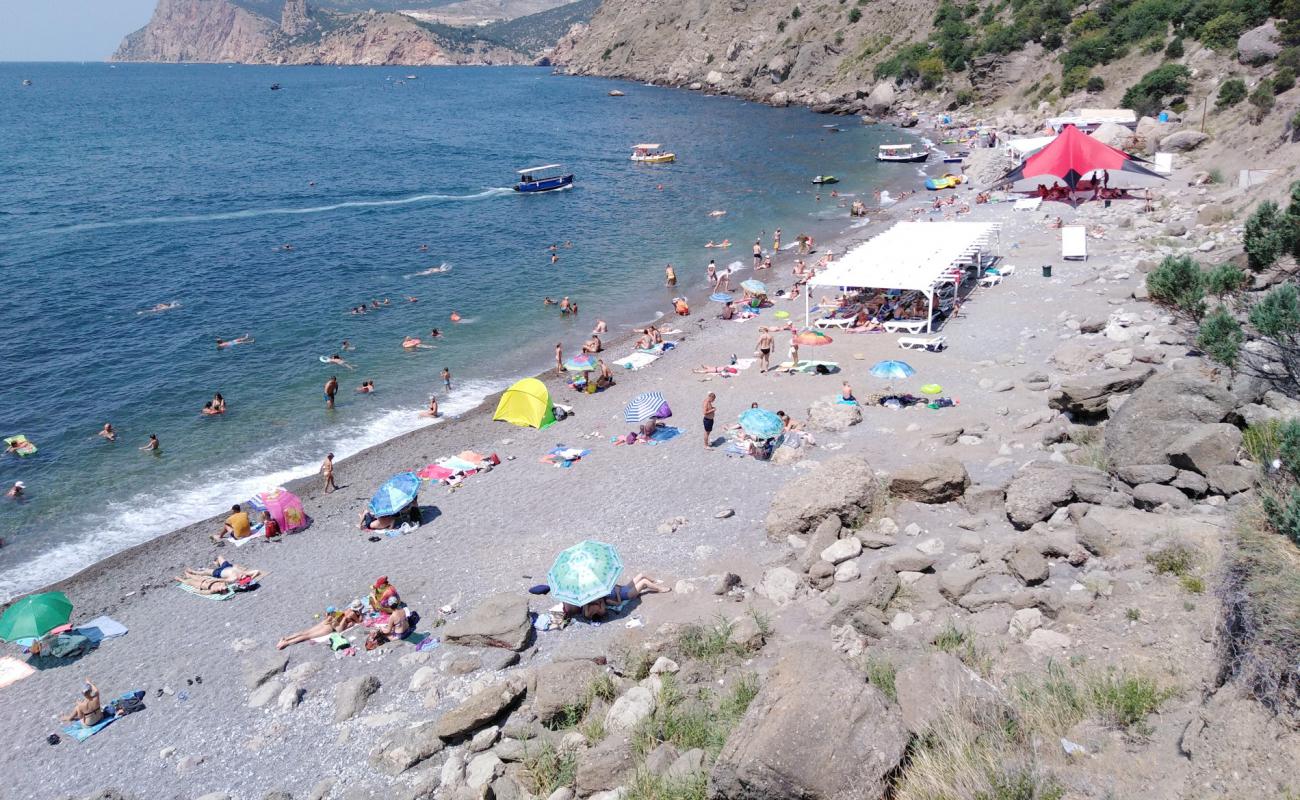 Silver beach'in fotoğrafı gri ince çakıl taş yüzey ile