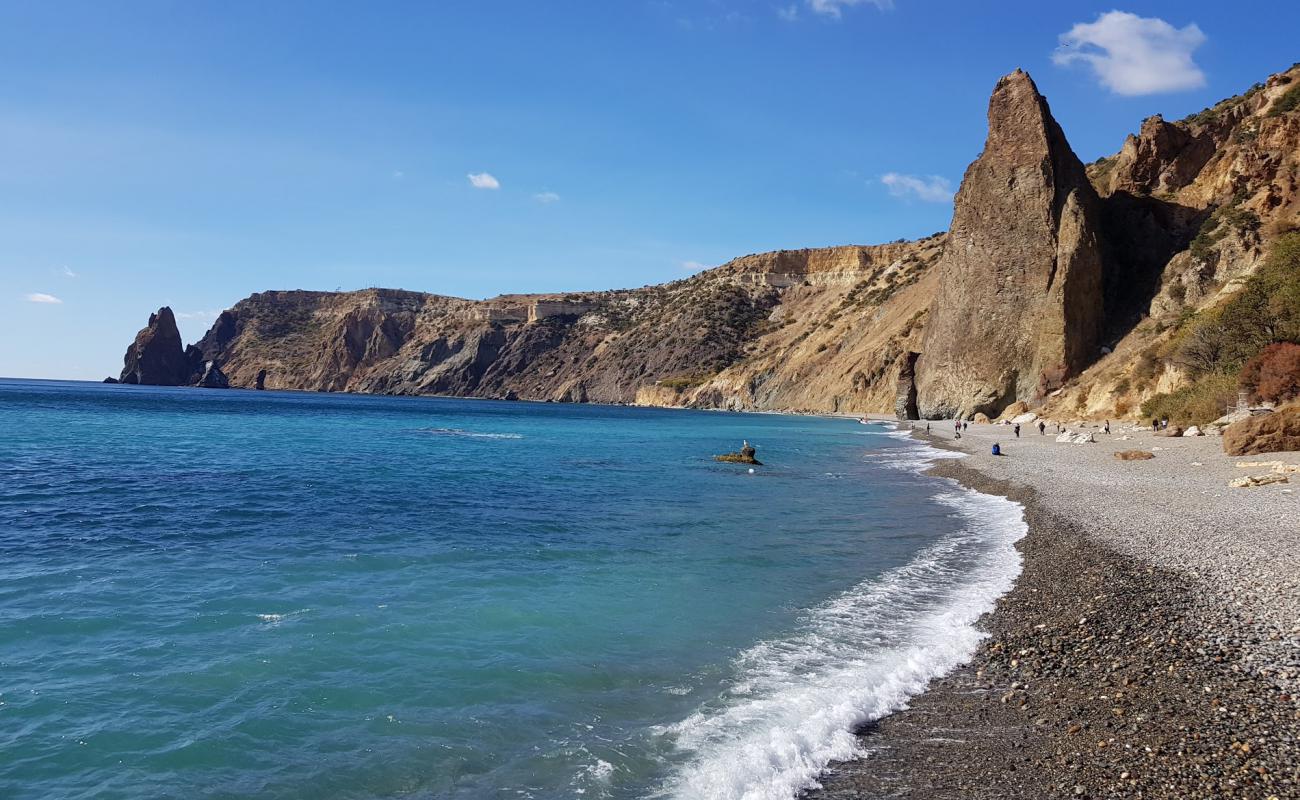 Jasper Plajı'in fotoğrafı gri çakıl taşı yüzey ile