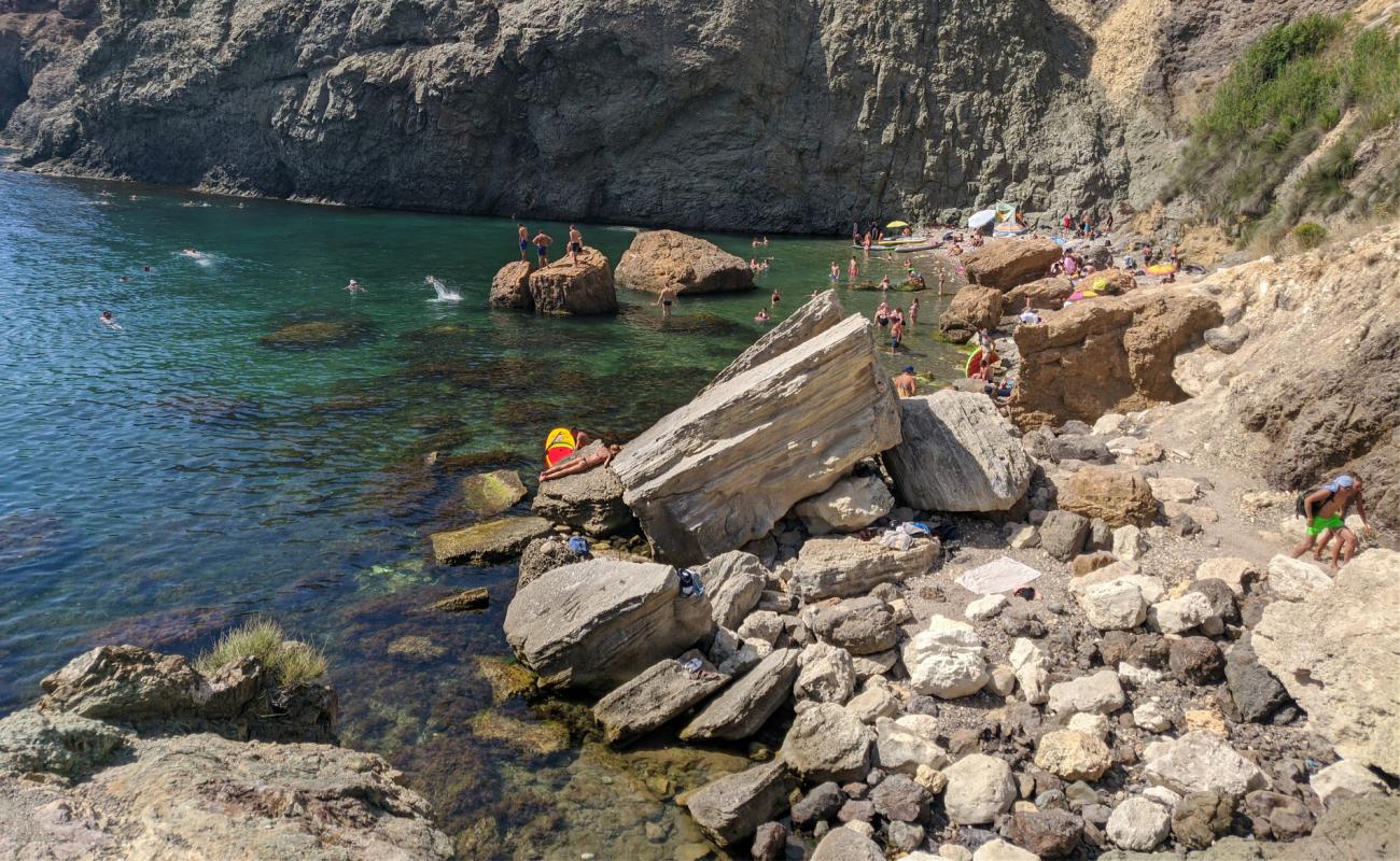 Tsarskoe Selo beach'in fotoğrafı gri çakıl taşı yüzey ile