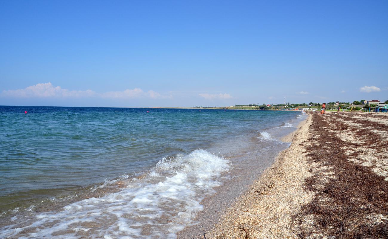 Plyazh Steregushcheye'in fotoğrafı parlak kum yüzey ile