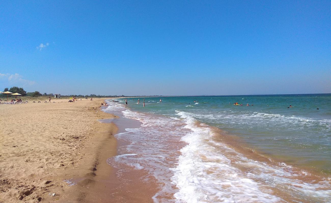 Plyazh Nizhnezamorskoye'in fotoğrafı açık bej kum yüzey ile