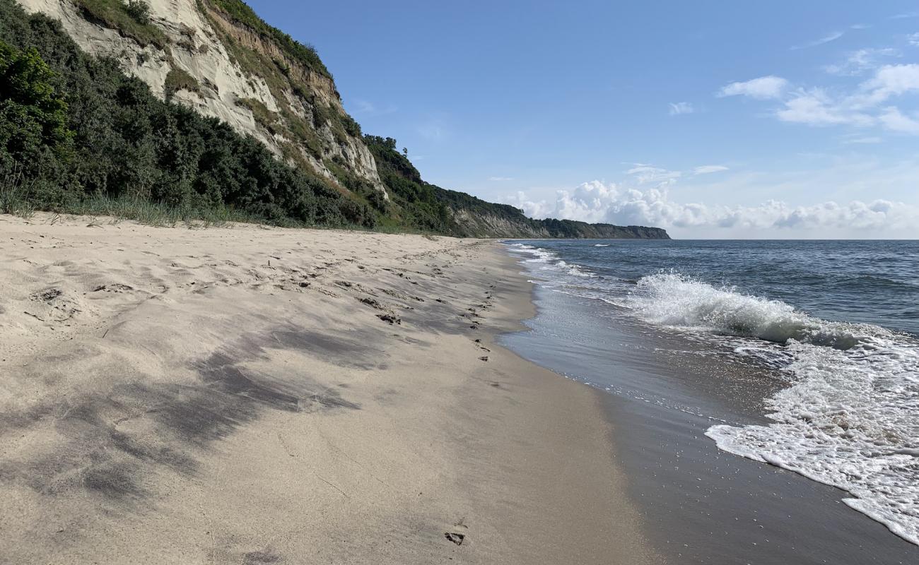 Donskoe Beach'in fotoğrafı açık bej kum yüzey ile