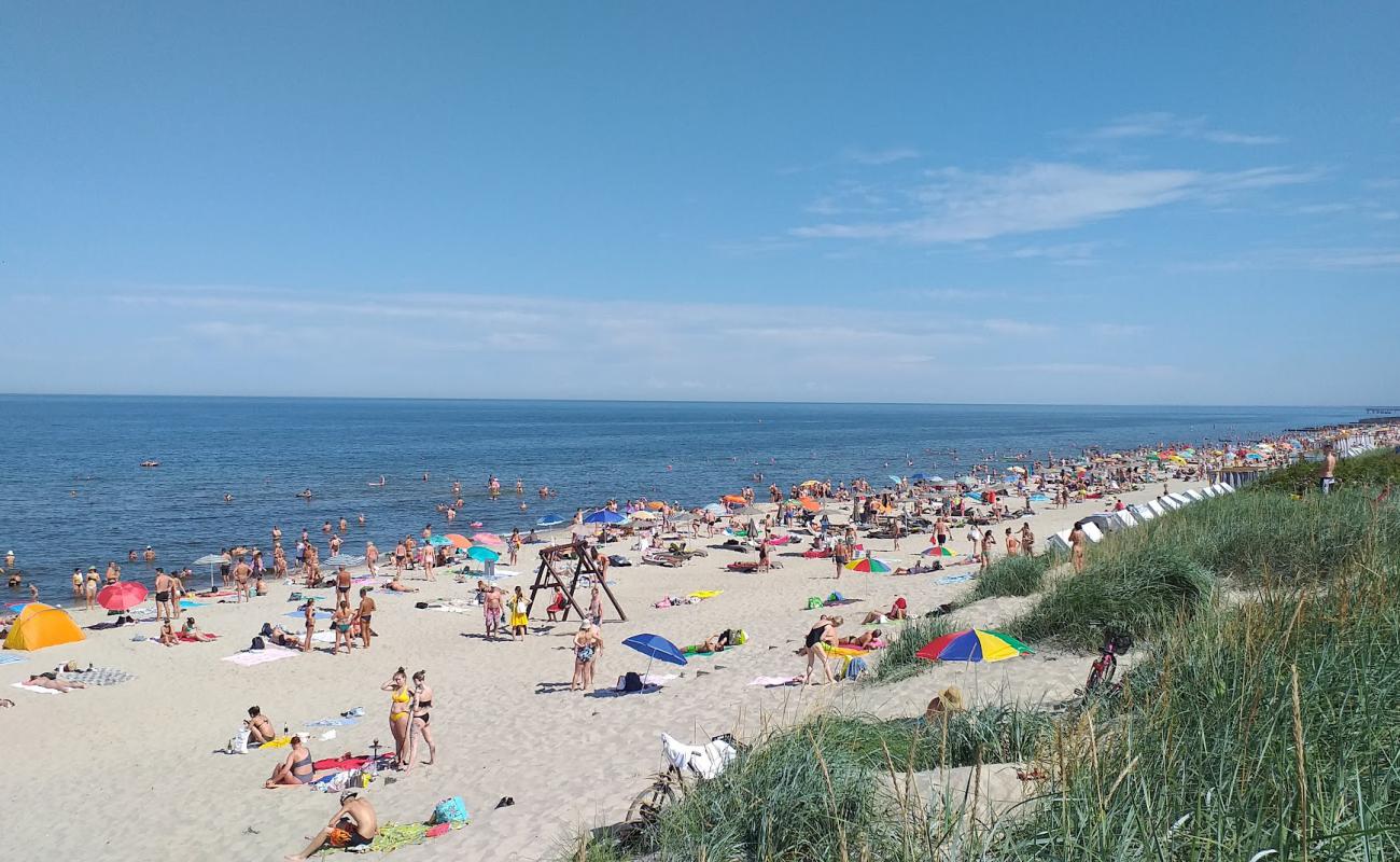 Zelenogradska Beach'in fotoğrafı parlak kum yüzey ile