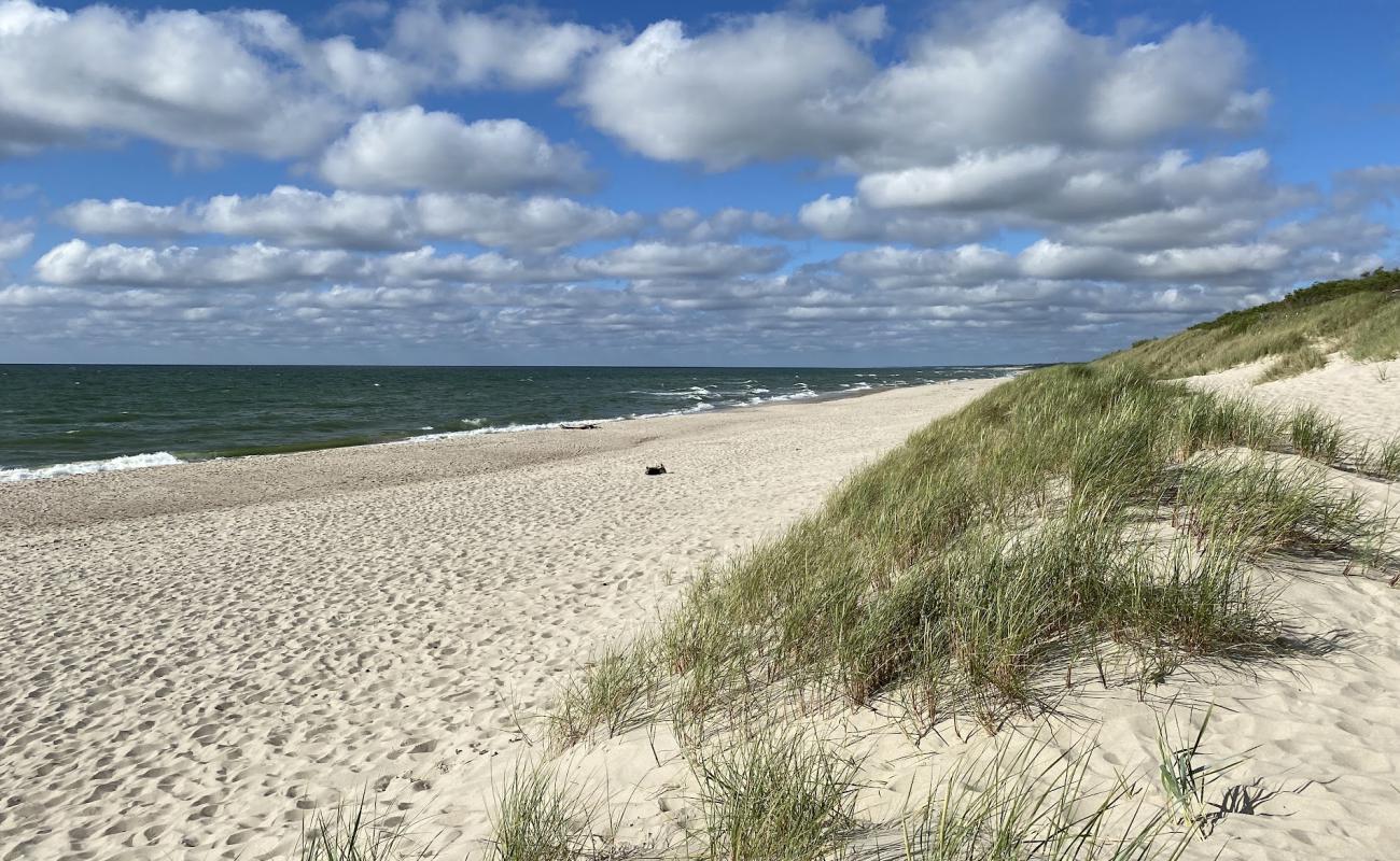 Rosa beach'in fotoğrafı açık bej kum yüzey ile