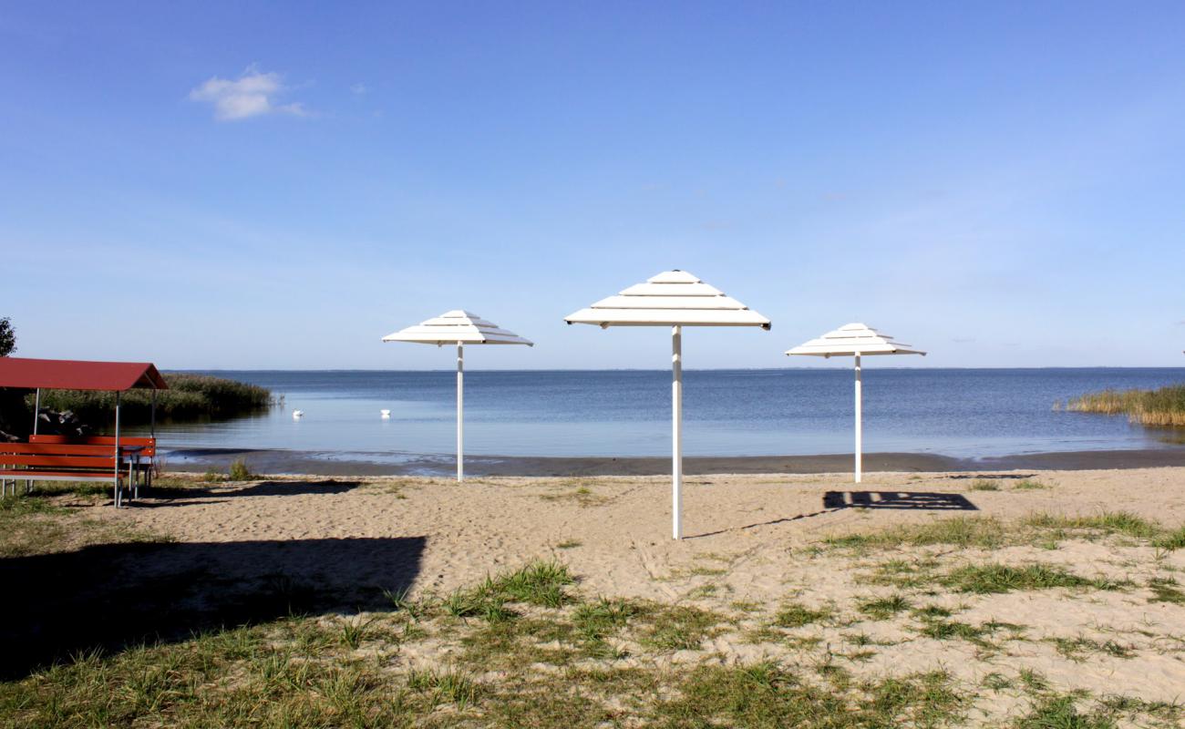 Beach Mamonovo'in fotoğrafı açık bej kum yüzey ile