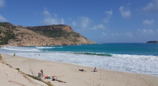 Plage de Saline